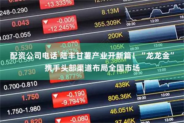 配资公司电话 陆丰甘薯产业开新篇！“龙龙金”携手头部渠道布局全国市场