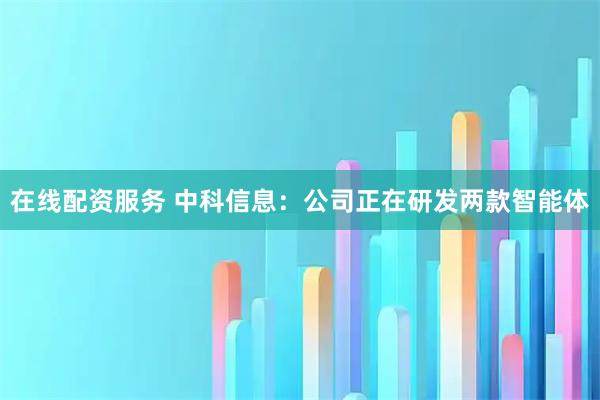 在线配资服务 中科信息：公司正在研发两款智能体