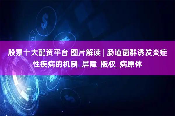 股票十大配资平台 图片解读 | 肠道菌群诱发炎症性疾病的机制_屏障_版权_病原体