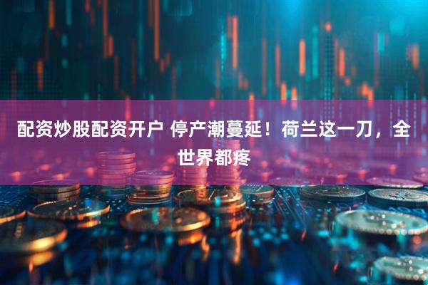 配资炒股配资开户 停产潮蔓延！荷兰这一刀，全世界都疼